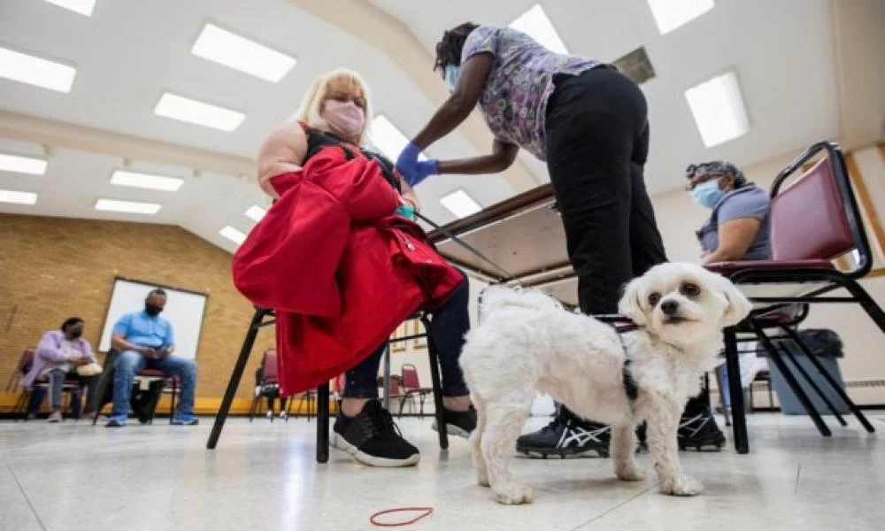 Ρωσία: Παρήγαγε την πρώτη παρτίδα εμβολίων για ζώα